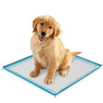 Select Companion Puppy Pee Pads with Scent Remover, 23 by 22 Inches - Pack of 100