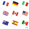 50 Countries International World Stick Flag,Hand Held Small Mini National Pennant Flags Banners On Stick,Party Decorations for Parades,Olympic,World Cup,Bar,School Sports Events,Festival Celebrations