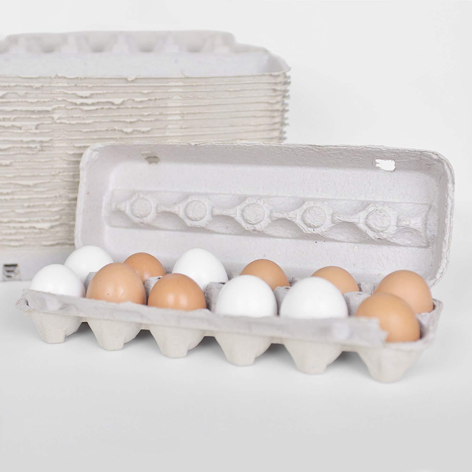 Blank Egg Cartons Bulk Blank Egg Cartons Bulk